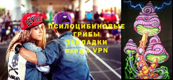 дживик Нязепетровск