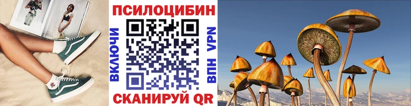 KRAKEN Белая Калитва Псилоцибиновые грибы мицелий